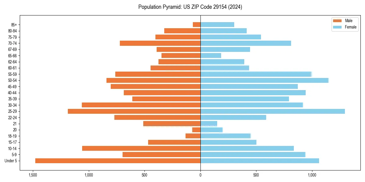 Population pyramid for 