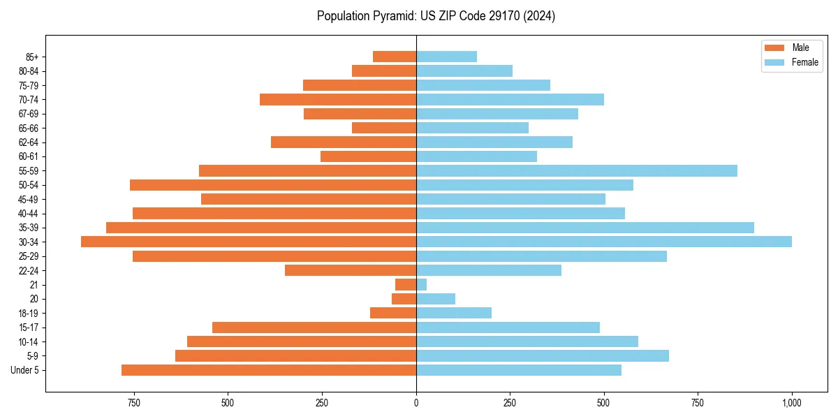 Population pyramid for 
