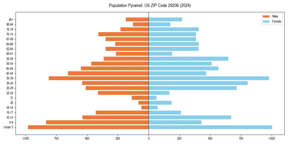 Population pyramid for 