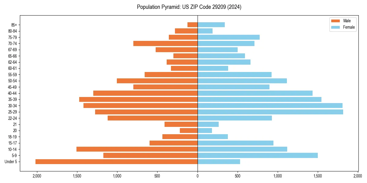 Population pyramid for 