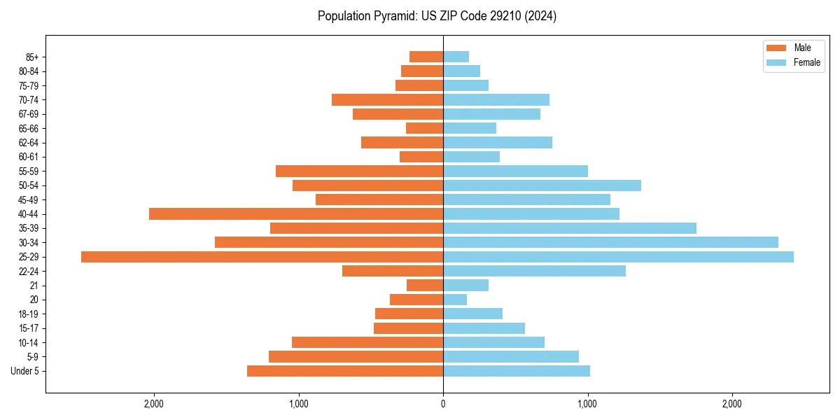 Population pyramid for 