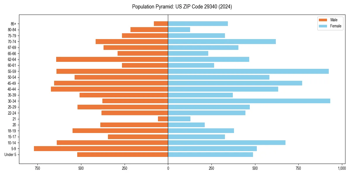 Population pyramid for