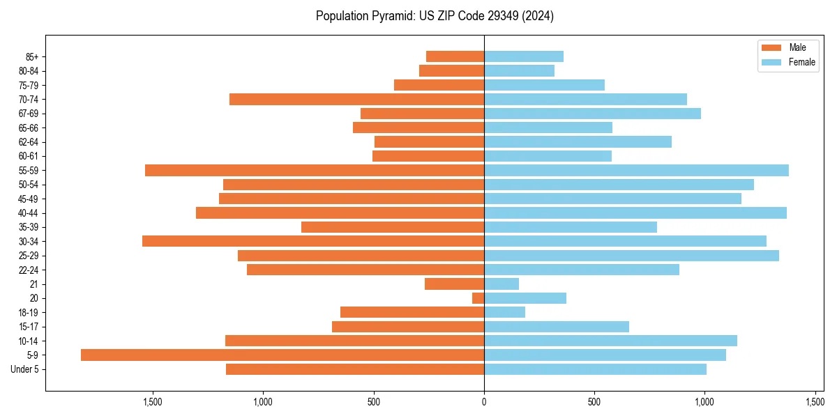Population pyramid for 
