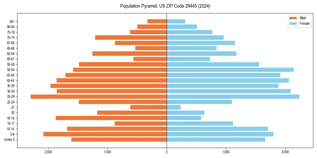 Population pyramid for 