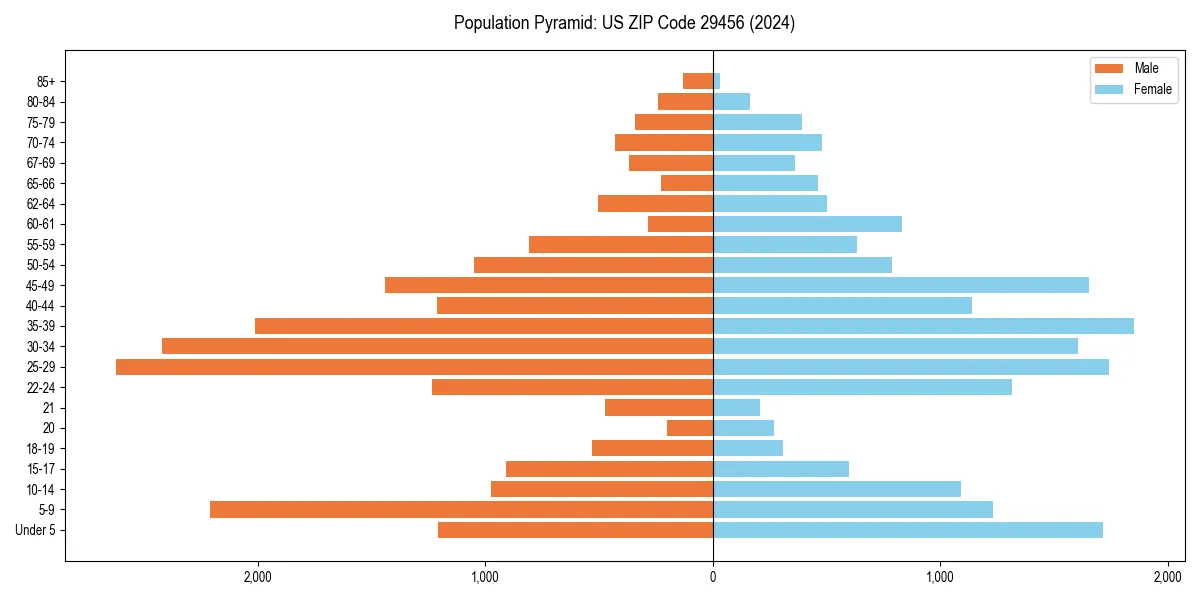 Population pyramid for 