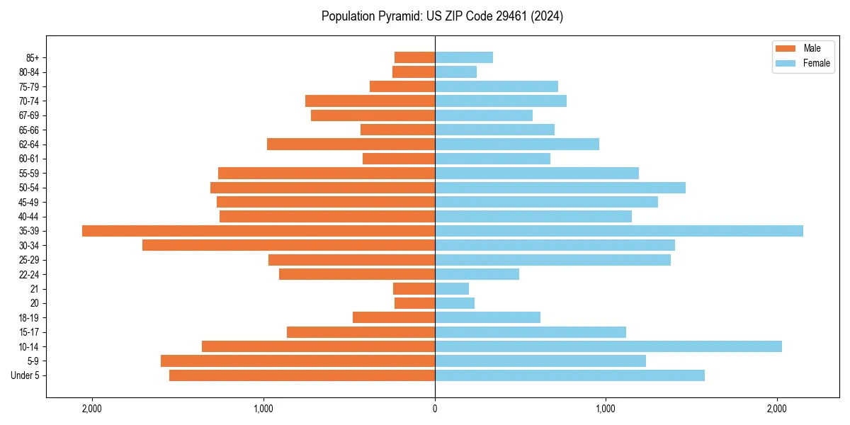 Population pyramid for 