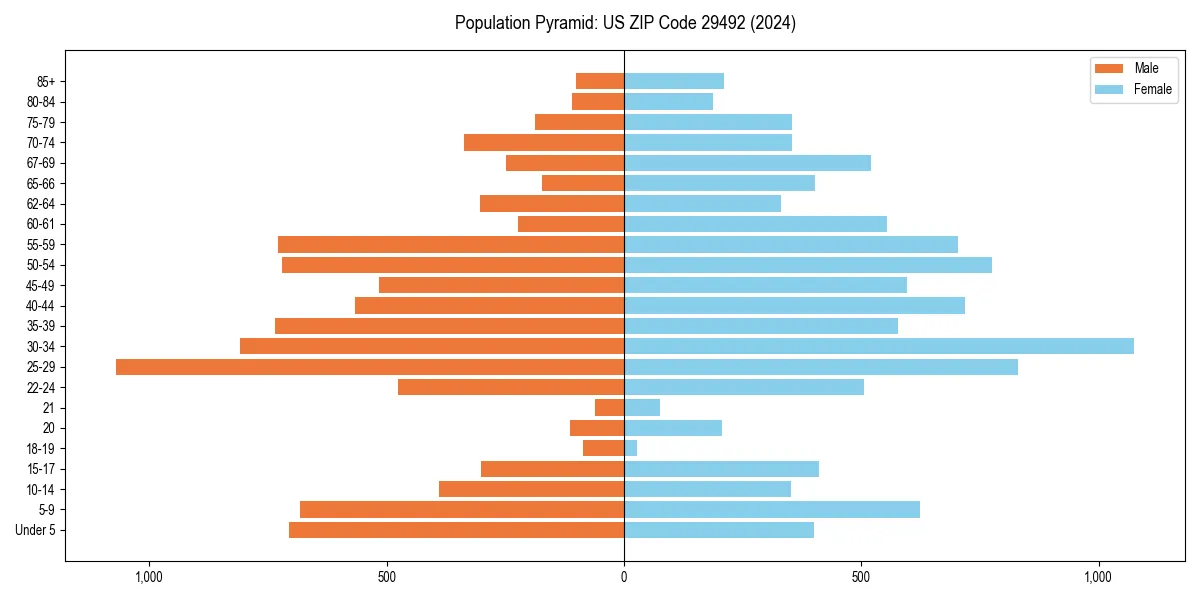 Population pyramid for 