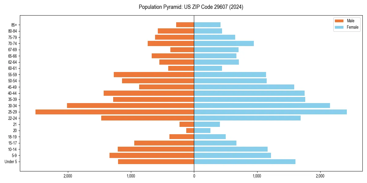 Population pyramid for 