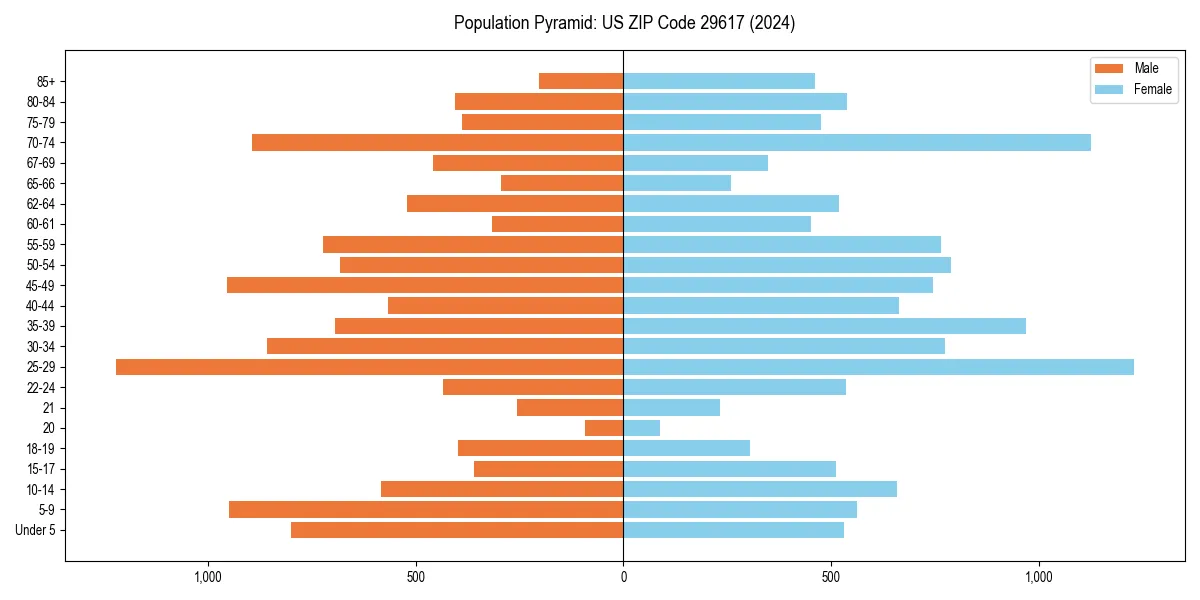 Population pyramid for 