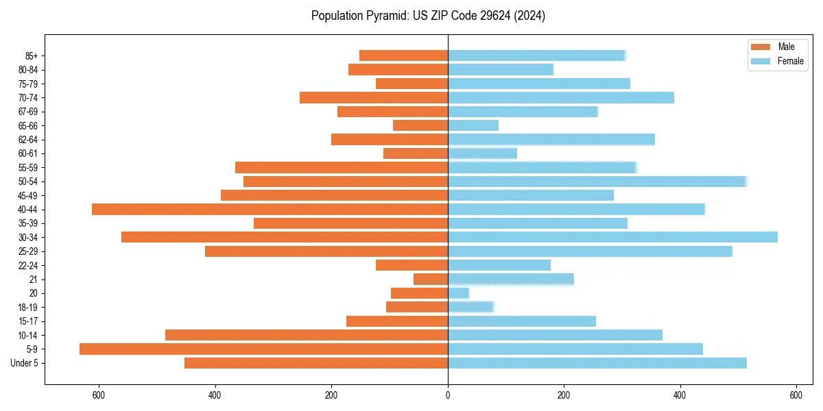 Population pyramid for 