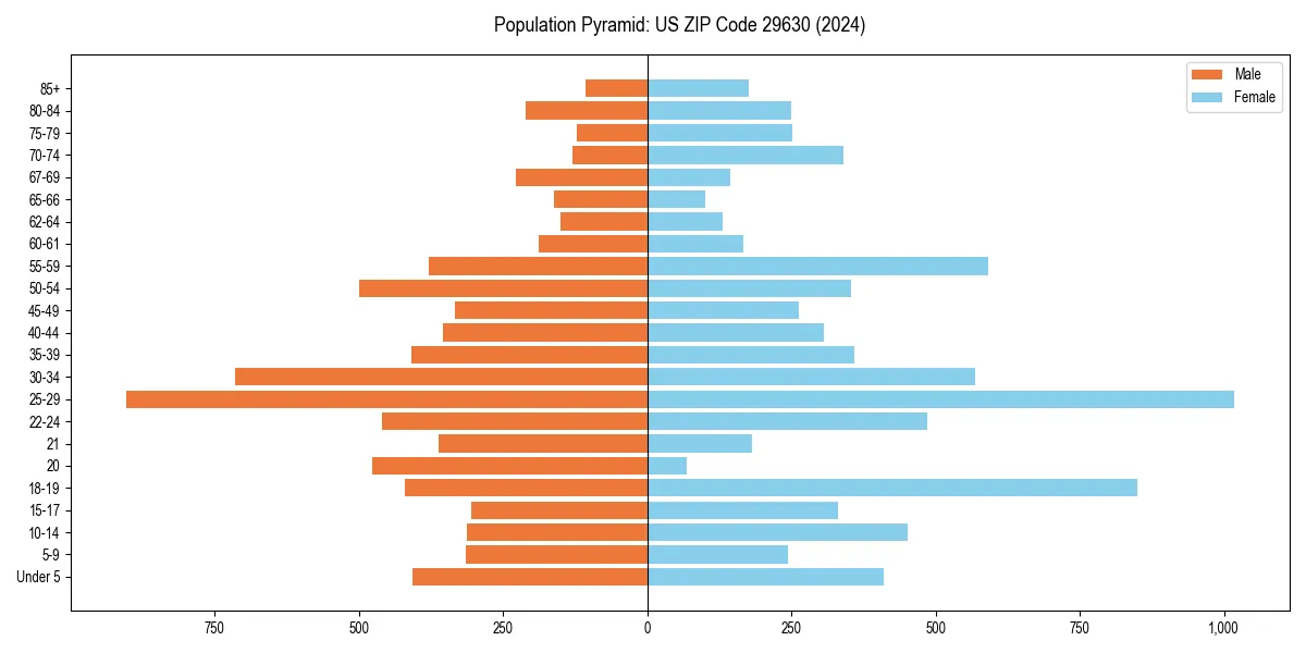 Population pyramid for 
