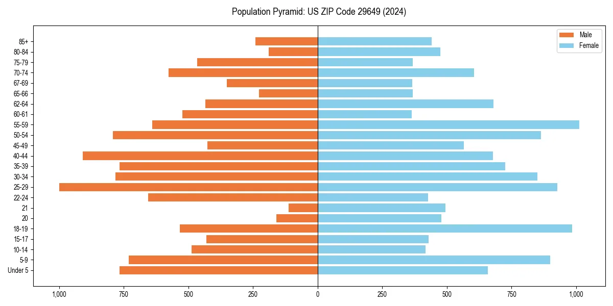Population pyramid for 