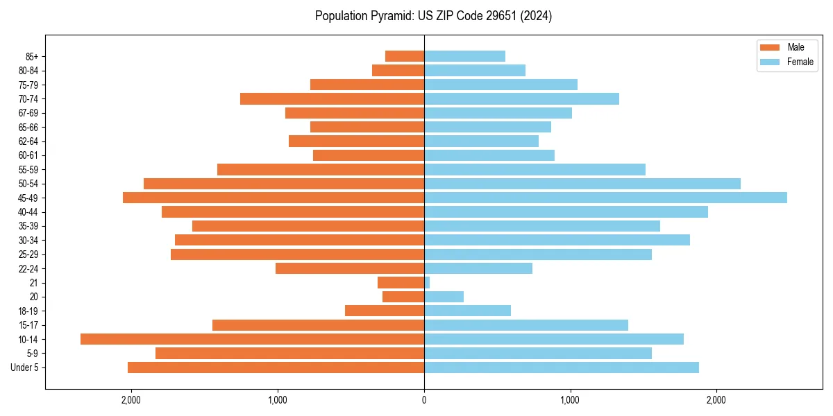 Population pyramid for 
