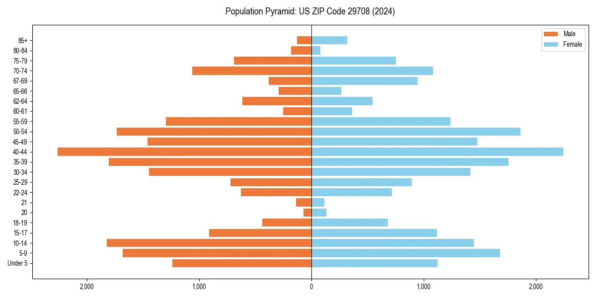 Population pyramid for 