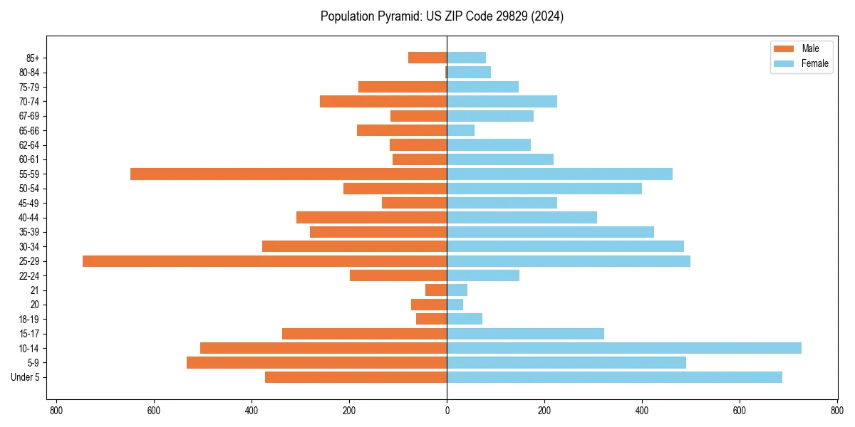 Population pyramid for 