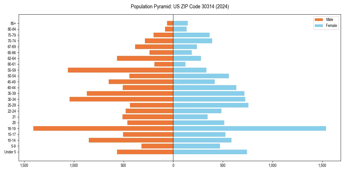 Population pyramid for 