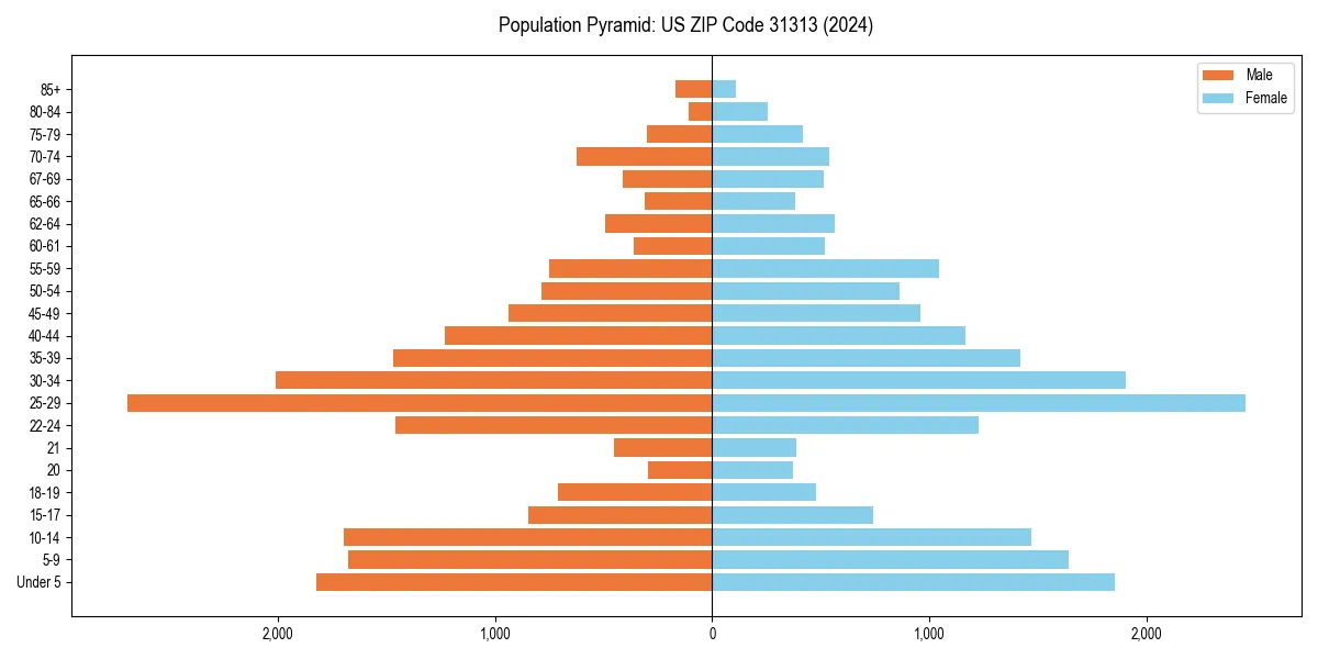 Population pyramid for 