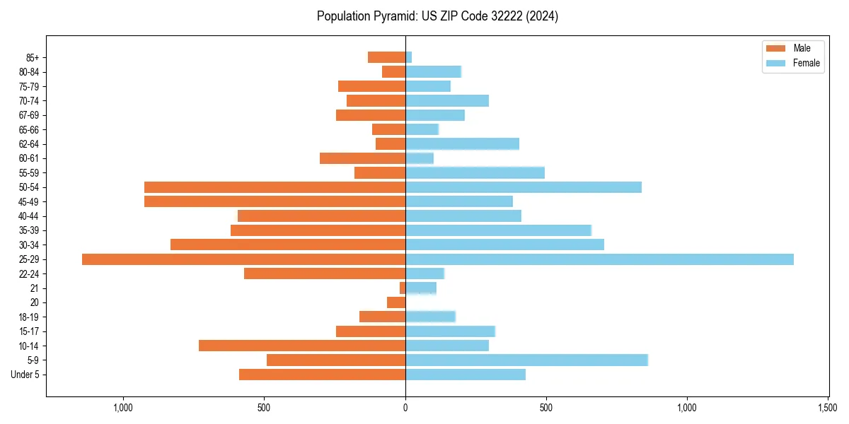 Population pyramid for 