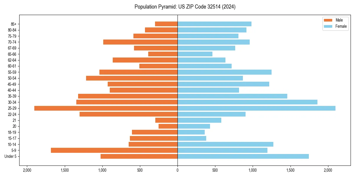 Population pyramid for 