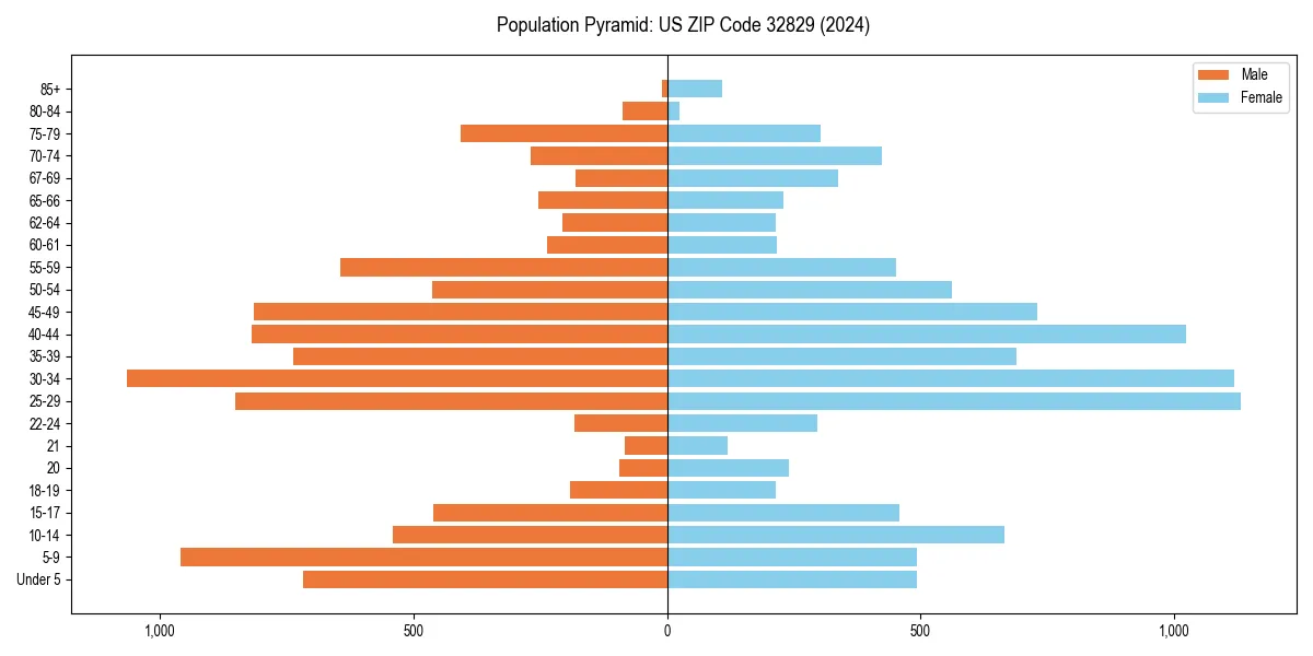 Population pyramid for 
