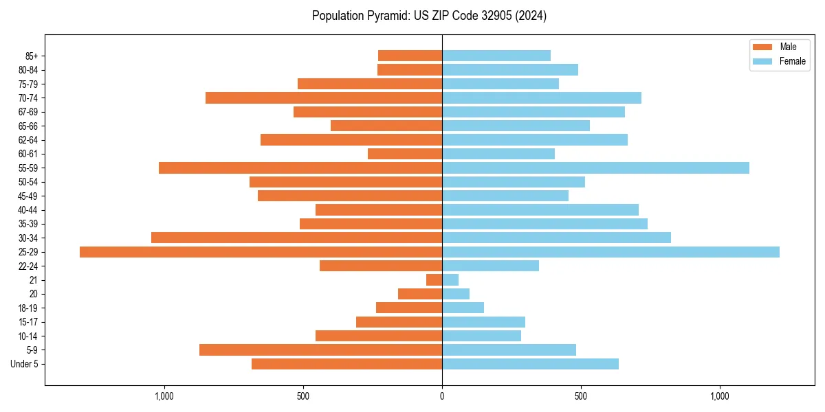 Population pyramid for 