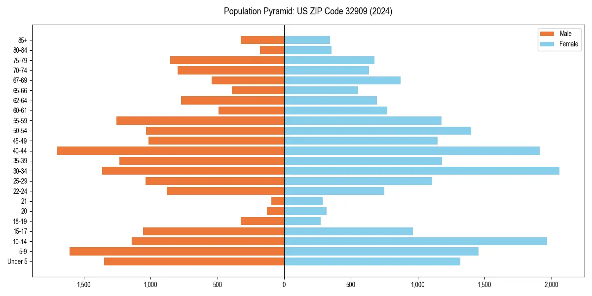 Population pyramid for 