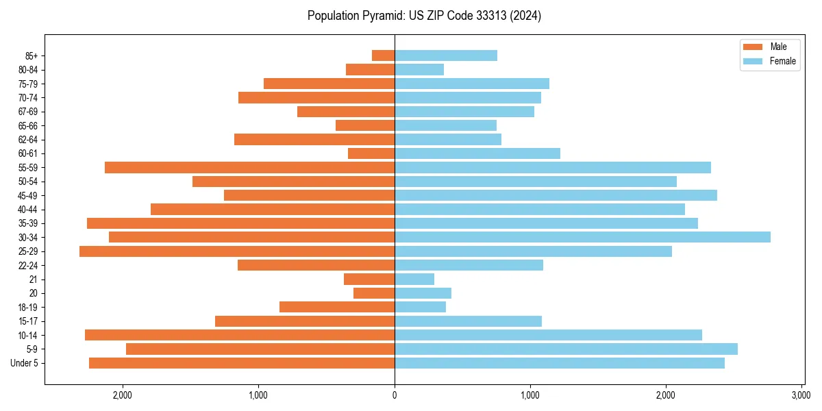 Population pyramid for 