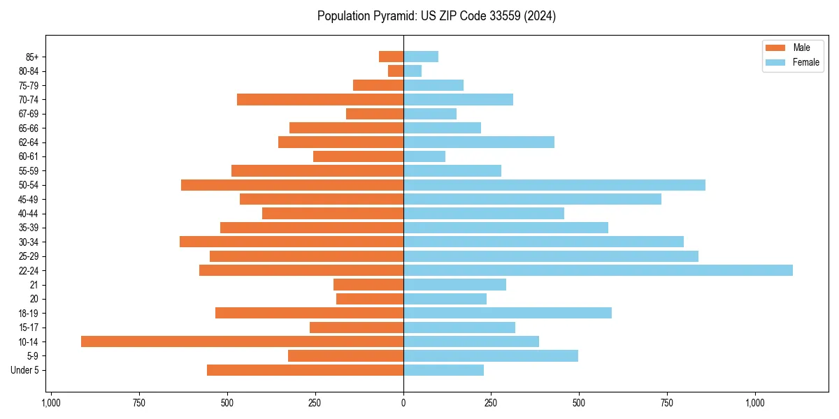 Population pyramid for 