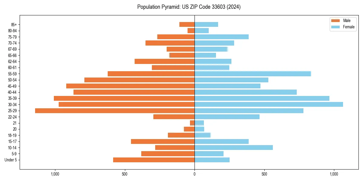 Population pyramid for 