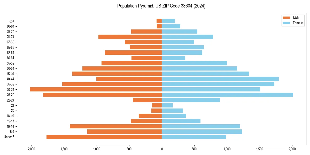 Population pyramid for 