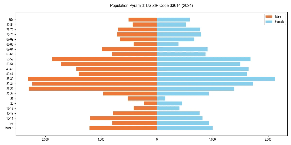Population pyramid for 