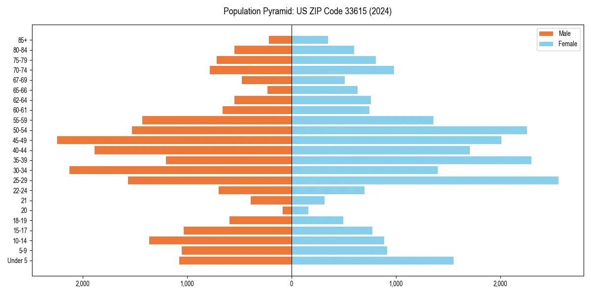 Population pyramid for 