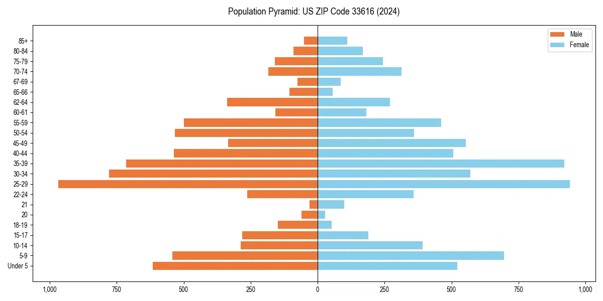 Population pyramid for 