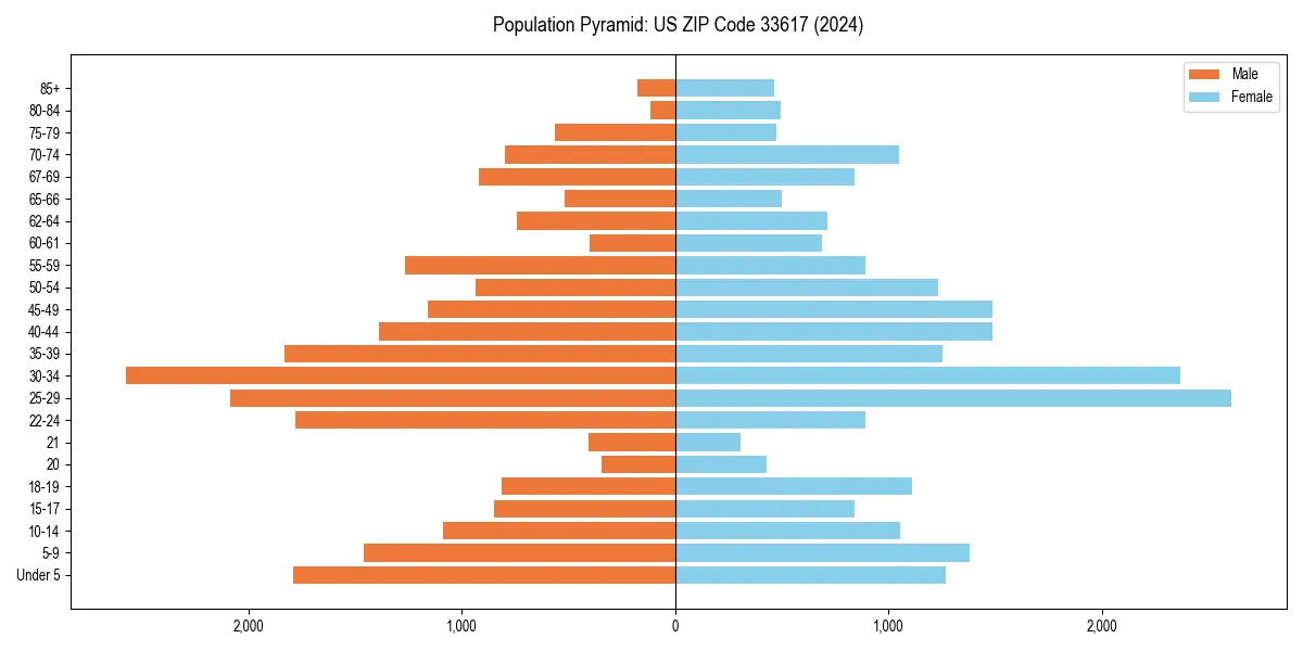 Population pyramid for 