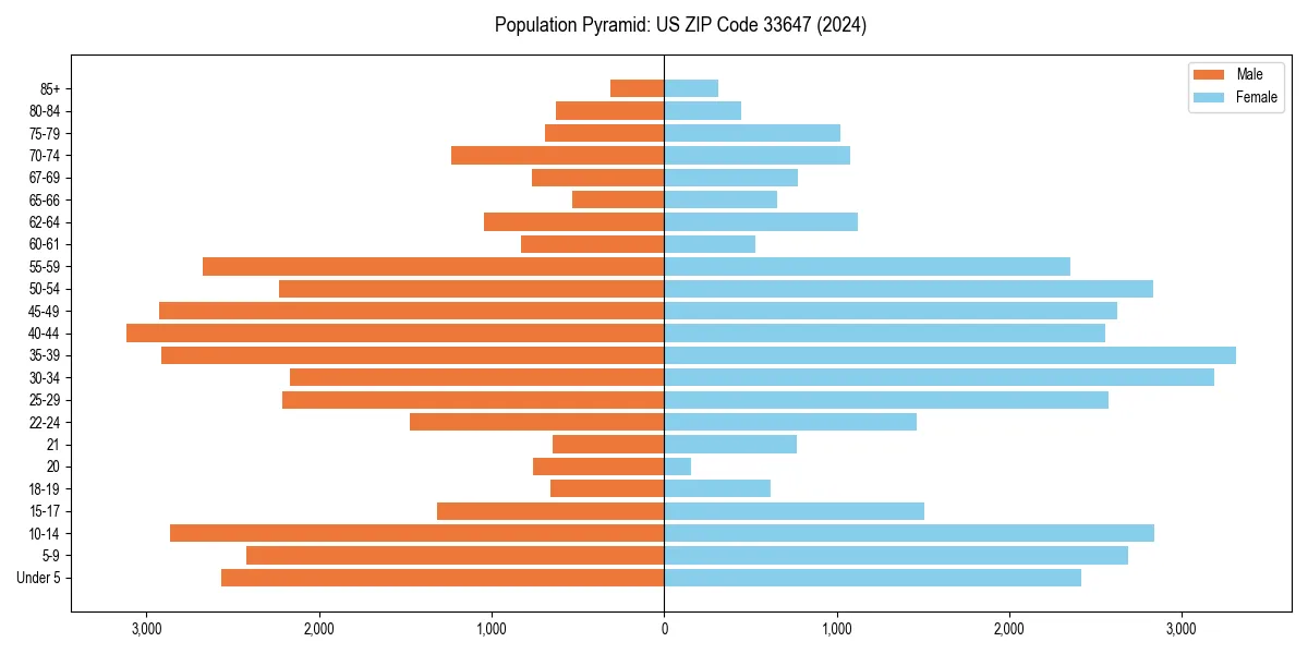 Population pyramid for 