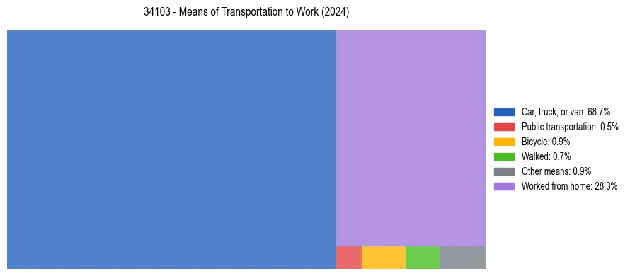 Commute modes in US ZIP Code 34103
