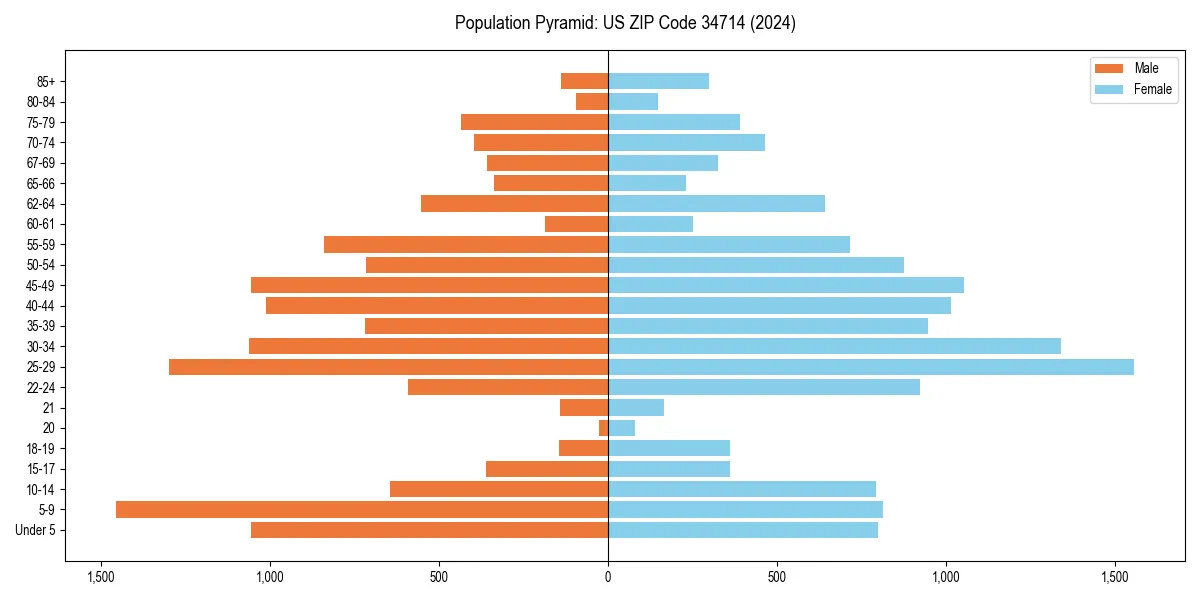 Population pyramid for 