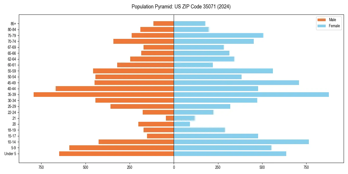 Population pyramid for 
