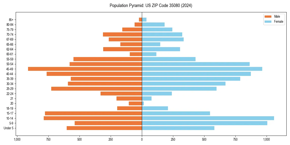 Population pyramid for 