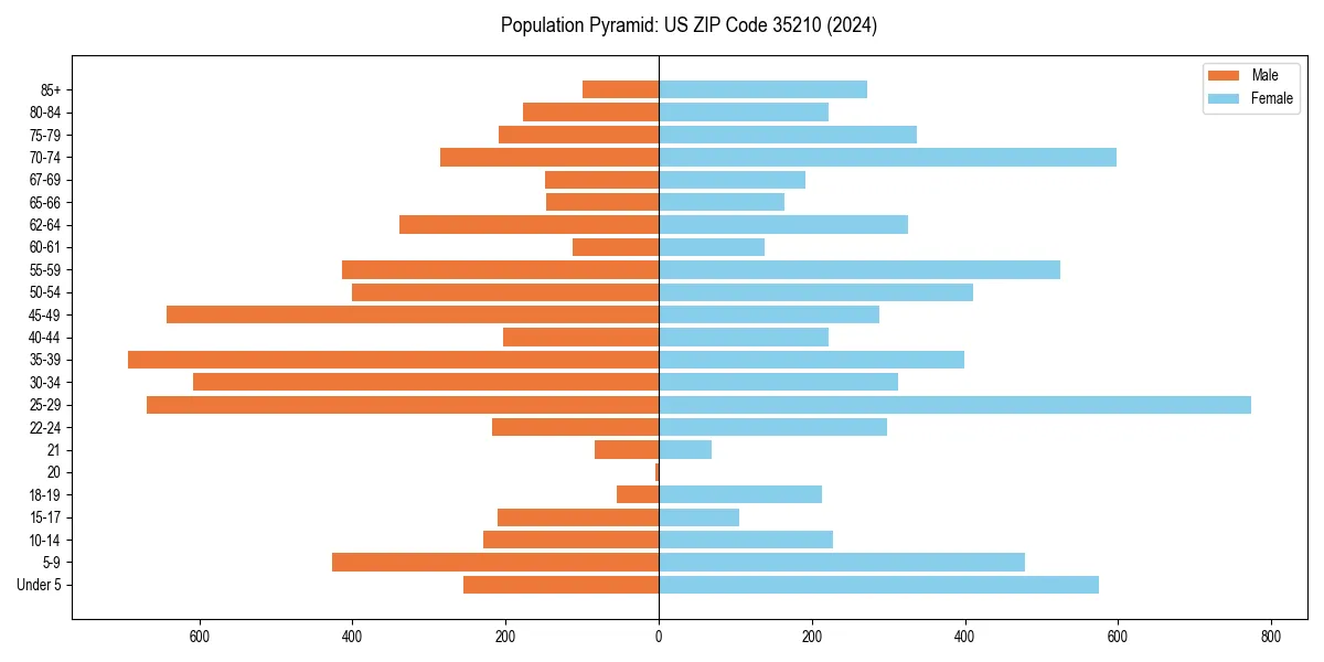 Population pyramid for 