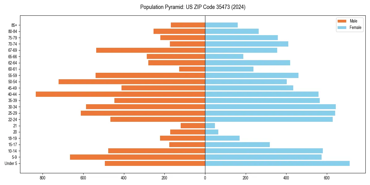 Population pyramid for 