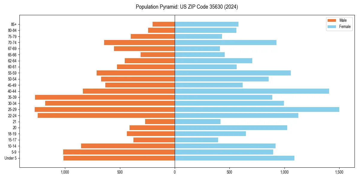 Population pyramid for 