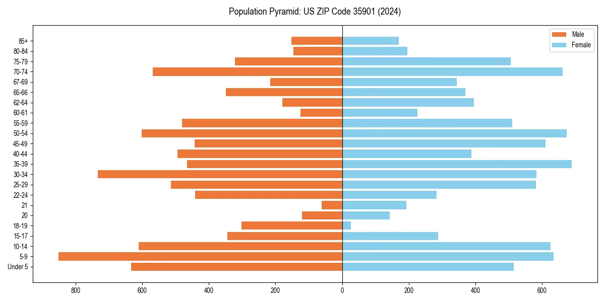 Population pyramid for 