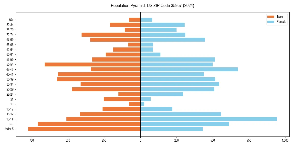 Population pyramid for 