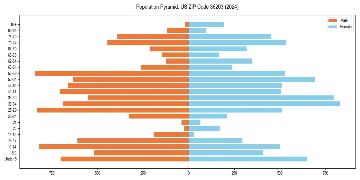 Population pyramid for 