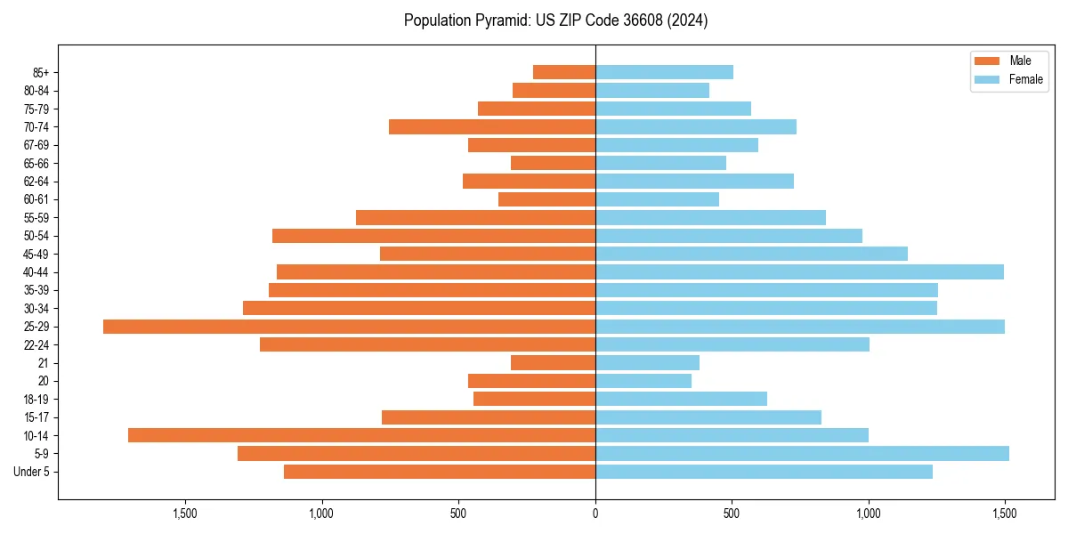 Population pyramid for 