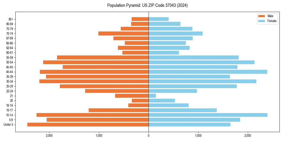 Population pyramid for 