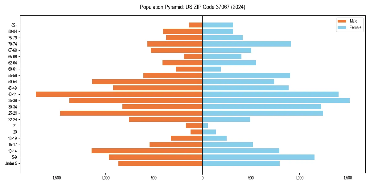 Population pyramid for 