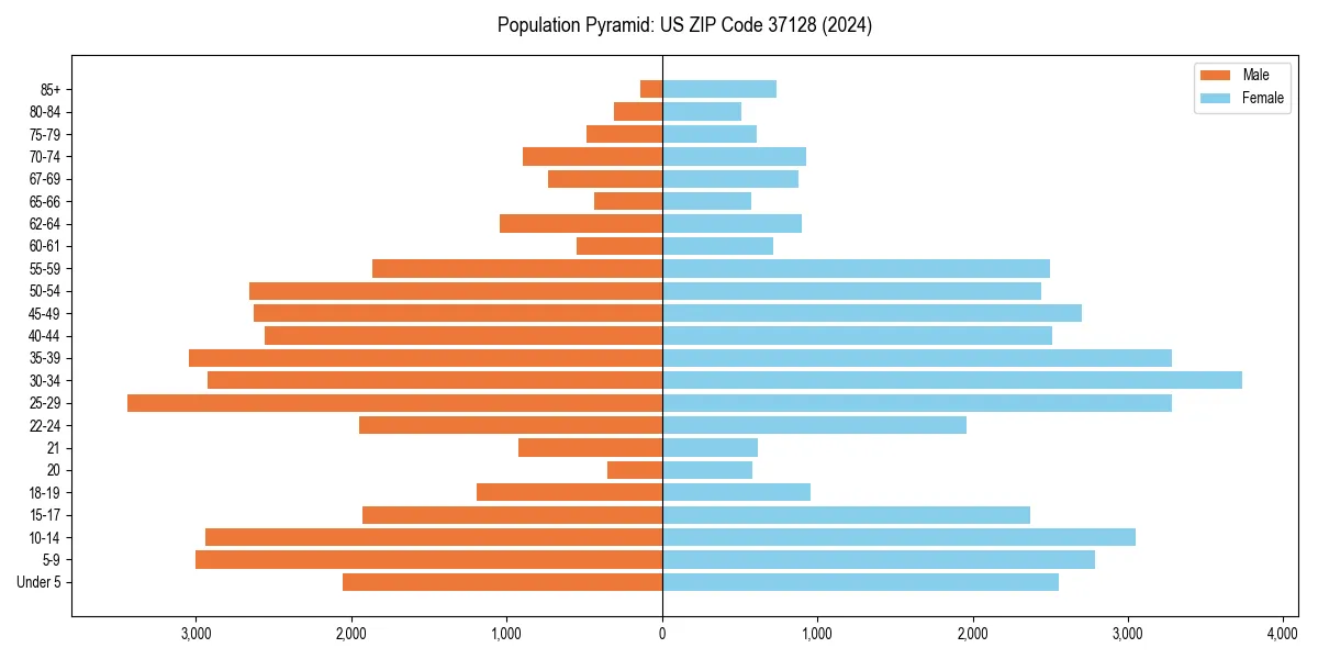 Population pyramid for 