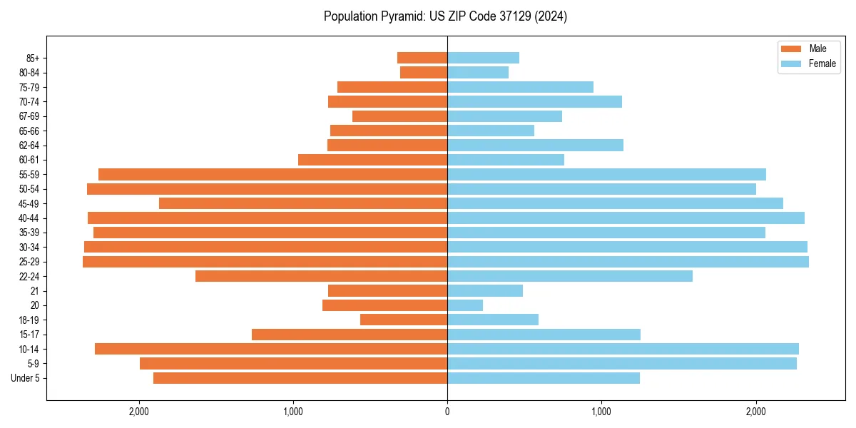 Population pyramid for 